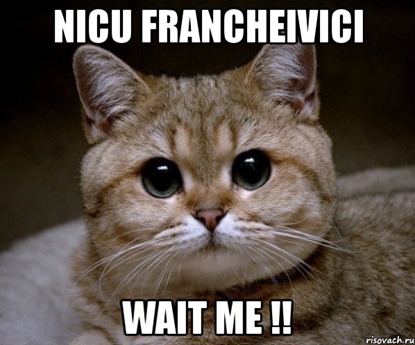 nicu francheivici wait me !!, Мем Пидрила Ебаная