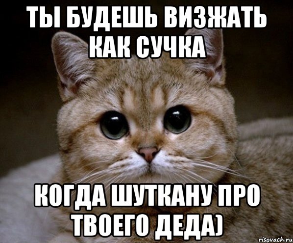 ты будешь визжать как сучка когда шуткану про твоего деда), Мем Пидрила Ебаная