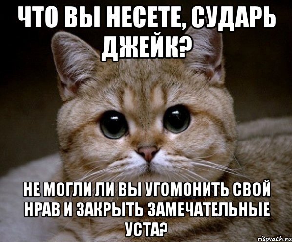 что вы несете, сударь джейк? не могли ли вы угомонить свой нрав и закрыть замечательные уста?, Мем Пидрила Ебаная