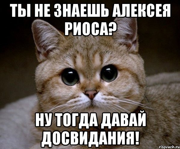 ты не знаешь алексея риоса? ну тогда давай досвидания!, Мем Пидрила Ебаная