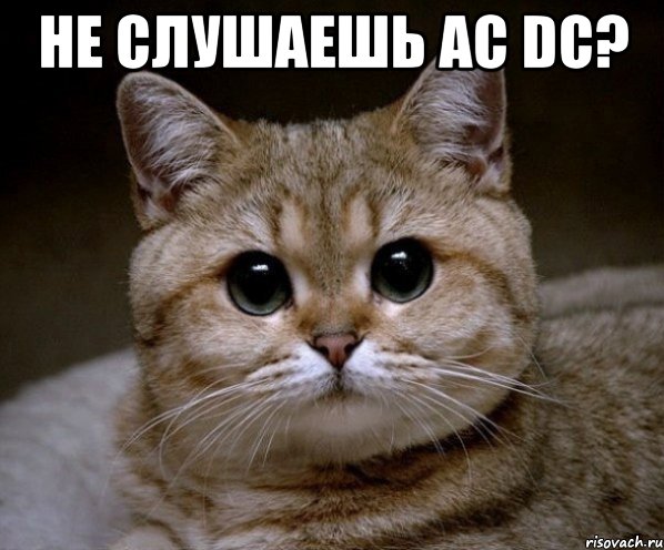 не слушаешь ac dc? , Мем Пидрила Ебаная