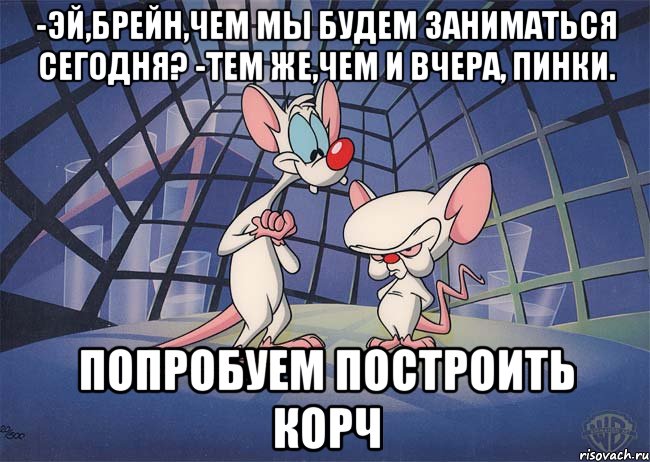 -эй,брейн,чем мы будем заниматься сегодня? -тем же,чем и вчера, пинки. попробуем построить корч, Мем ПИНКИ И БРЕЙН