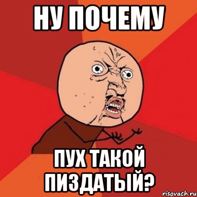 ну почему пух такой пиздатый?, Мем Почему