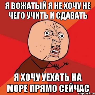 я вожатый я не хочу не чего учить и сдавать я хочу уехать на море прямо сейчас