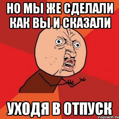 но мы же сделали как вы и сказали уходя в отпуск, Мем Почему