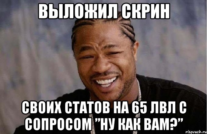 выложил скрин своих статов на 65 лвл с сопросом ”ну как вам?”