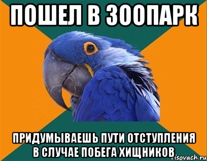 пошел в зоопарк придумываешь пути отступления в случае побега хищников, Мем Попугай параноик