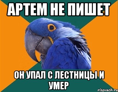 артем не пишет он упал с лестницы и умер, Мем Попугай параноик