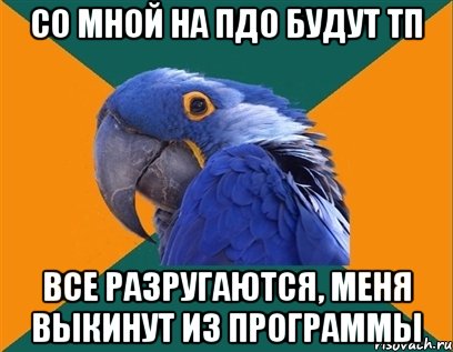 со мной на пдо будут тп все разругаются, меня выкинут из программы, Мем Попугай параноик