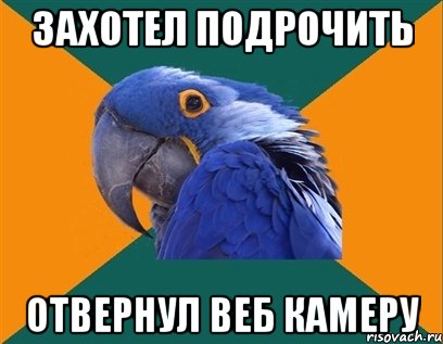 захотел подрочить отвернул веб камеру, Мем Попугай параноик