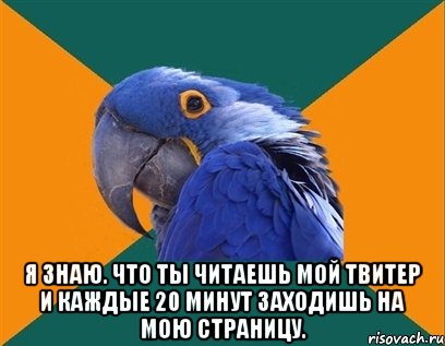  я знаю. что ты читаешь мой твитер и каждые 20 минут заходишь на мою страницу., Мем Попугай параноик