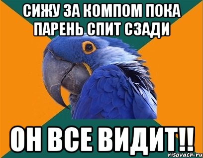 сижу за компом пока парень спит сзади он все видит!!, Мем Попугай параноик