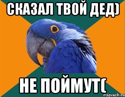 сказал твой дед) не поймут(, Мем Попугай параноик