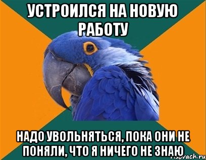 устроился на новую работу надо увольняться, пока они не поняли, что я ничего не знаю, Мем Попугай параноик