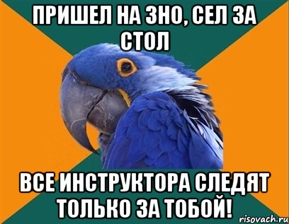 пришел на зно, сел за стол все инструктора следят только за тобой!, Мем Попугай параноик