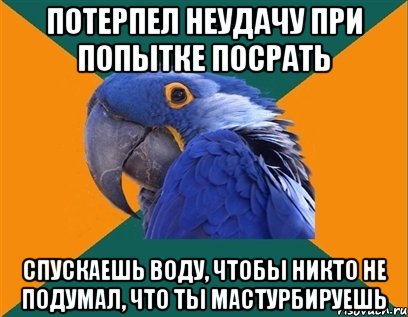 потерпел неудачу при попытке посрать спускаешь воду, чтобы никто не подумал, что ты мастурбируешь, Мем Попугай параноик