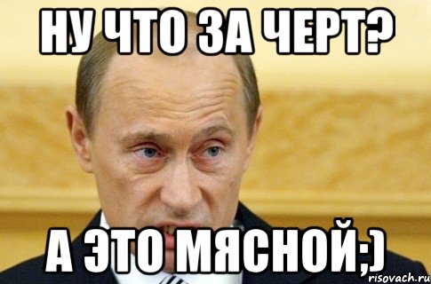 ну что за черт? а это мясной;), Мем путин