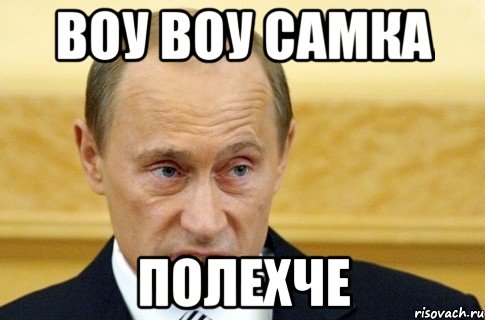 воу воу самка полехче, Мем путин