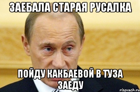 заебала старая русалка пойду какбаевой в туза заеду, Мем путин