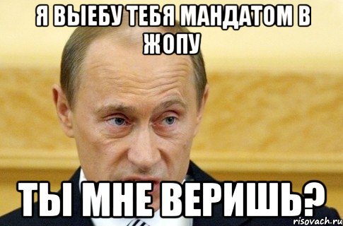 я выебу тебя мандатом в жопу ты мне веришь?, Мем путин