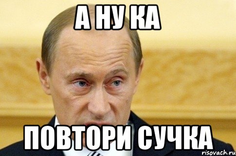 а ну ка повтори сучка, Мем путин