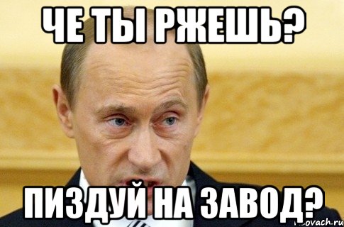 че ты ржешь? пиздуй на завод?, Мем путин