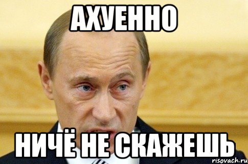 ахуенно ничё не скажешь, Мем путин