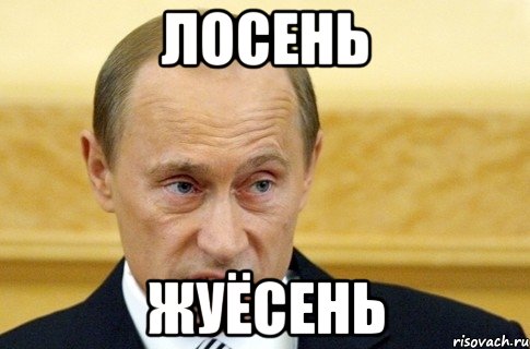 лосень жуёсень, Мем путин