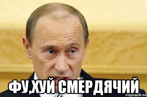  фу,хуй смердячий, Мем путин