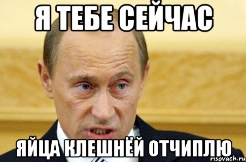 я тебе сейчас яйца клешнёй отчиплю, Мем путин