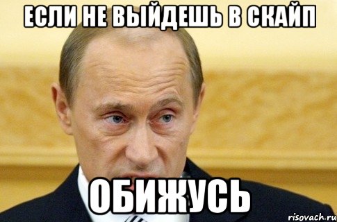 если не выйдешь в скайп обижусь, Мем путин