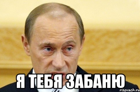  я тебя забаню, Мем путин