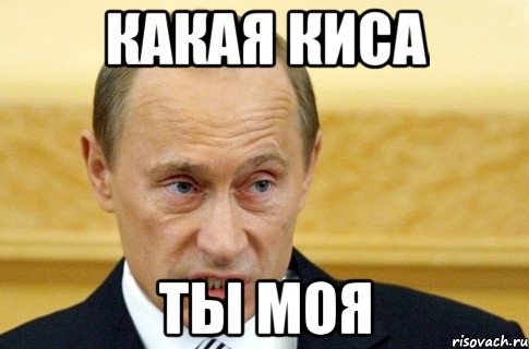 какая киса ты моя, Мем путин