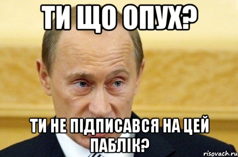 ти що опух? ти не підписався на цей паблік?, Мем путин