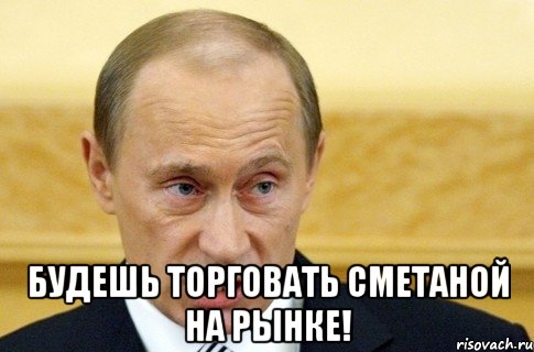  будешь торговать сметаной на рынке!, Мем путин