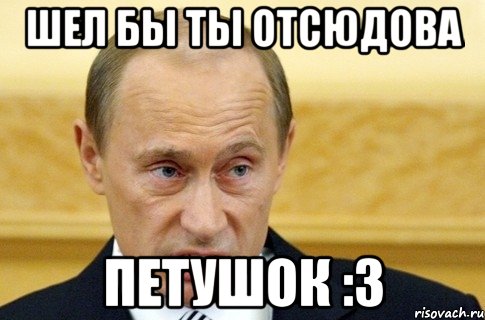 шел бы ты отсюдова петушок :3, Мем путин