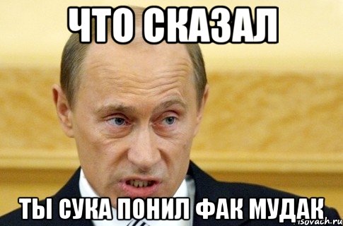 что сказал ты сука понил фак мудак, Мем путин