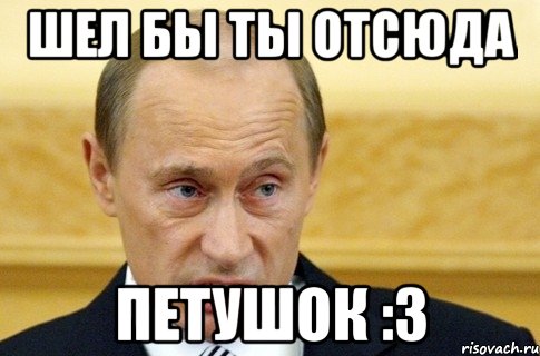 шел бы ты отсюда петушок :3, Мем путин