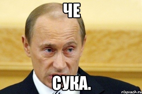 че сука., Мем путин