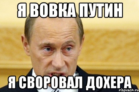 я вовка путин я своровал дохера, Мем путин