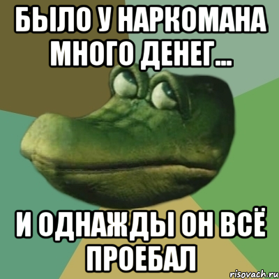 было у наркомана много денег... и однажды он всё проебал, Мем  Ракодил