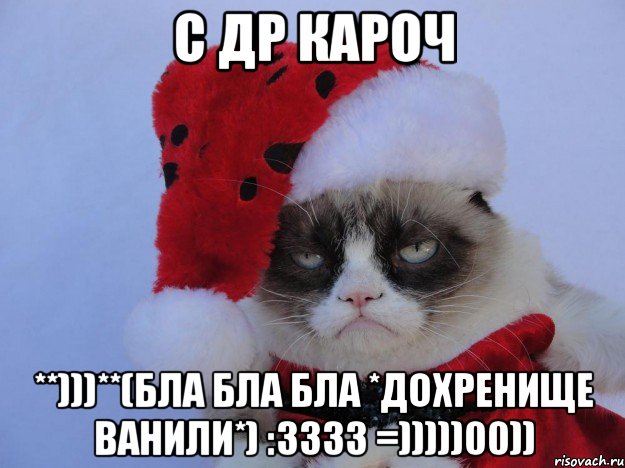 с др кароч **)))**(бла бла бла *дохренище ванили*) :3333 =)))))00)), Мем   С нг кароч