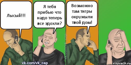 Лысый!!! Я тебя прибью что надо теперь все здохли? Возможно там тигры окружыли твой дом!, Комикс С кэпом (разговор по телефону)