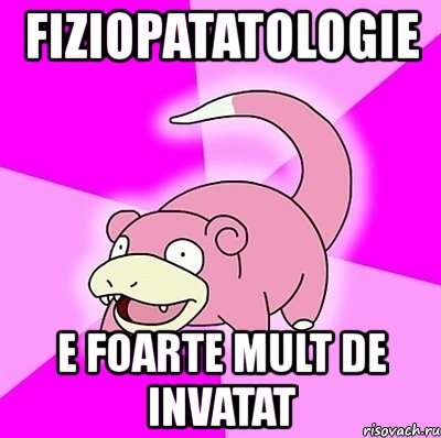 fiziopatatologie e foarte mult de invatat, Мем слоупок