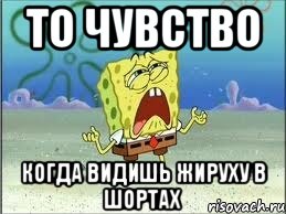 то чувство когда видишь жируху в шортах, Мем Спанч Боб плачет