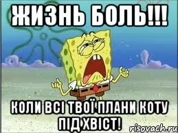 жизнь боль!!! коли всі твої плани коту під хвіст!, Мем Спанч Боб плачет