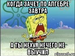 когда зачет по алгебре завтра а ты нехуя нечего не выучил, Мем Спанч Боб плачет