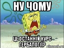 ну чому це останній курс гербалогії?, Мем Спанч Боб плачет