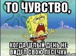 то чувство, когда целый день не видел свою лесечку, Мем Спанч Боб плачет