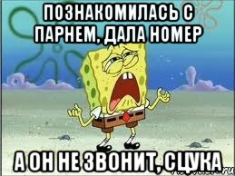 познакомилась с парнем, дала номер а он не звонит, сцука, Мем Спанч Боб плачет